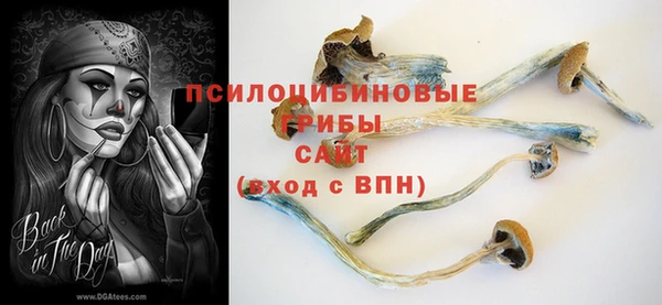 соль курить ск Зеленодольск