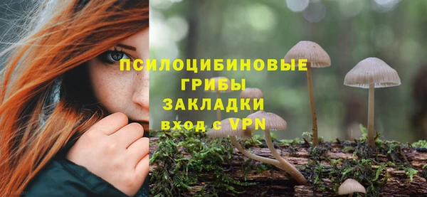 PSILOCYBIN Кукмор