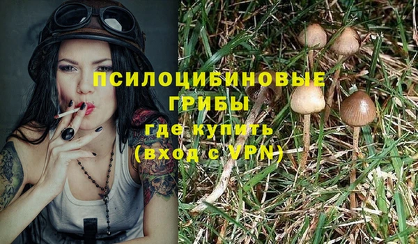 ГАЛЛЮЦИНОГЕННЫЕ ГРИБЫ Зеленокумск