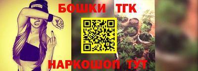 a pvp Гусь-Хрустальный