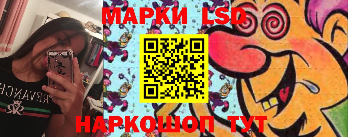 МЕГА онион  Славгород  LSD-25 экстази кислота  ЛСД экстази кислота 