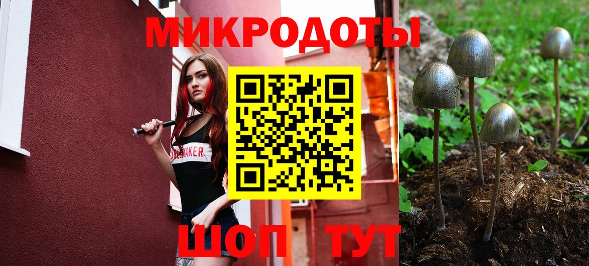 Галлюциногенные грибы мухоморы  Вход с VPN  Славгород 