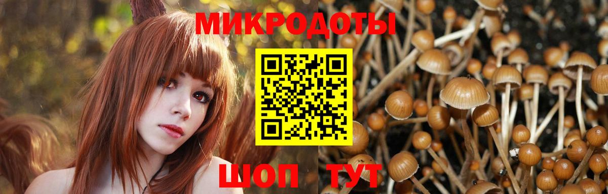 Галлюциногенные грибы GOLDEN TEACHER Славгород