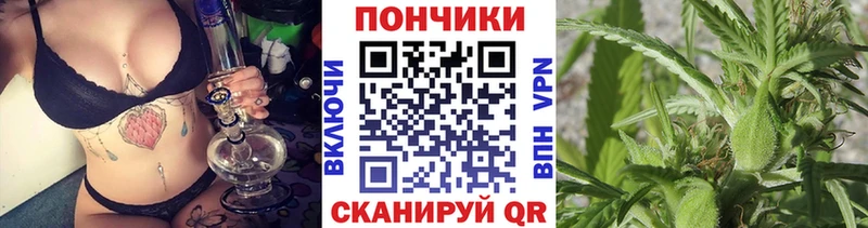 мега онион  Славгород  Марихуана SATIVA & INDICA 